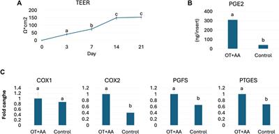 Bioengineering-tissue strategies to model mammalian implantation in vitro